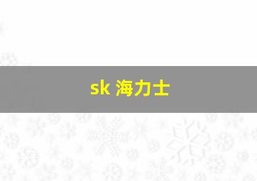 sk 海力士